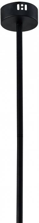 Трековый светильник Zortes PRÜGEL ZRS.57789.13