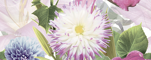 Декор панно Ceradim Amoria A 20х50 см КПН17AmoriaA