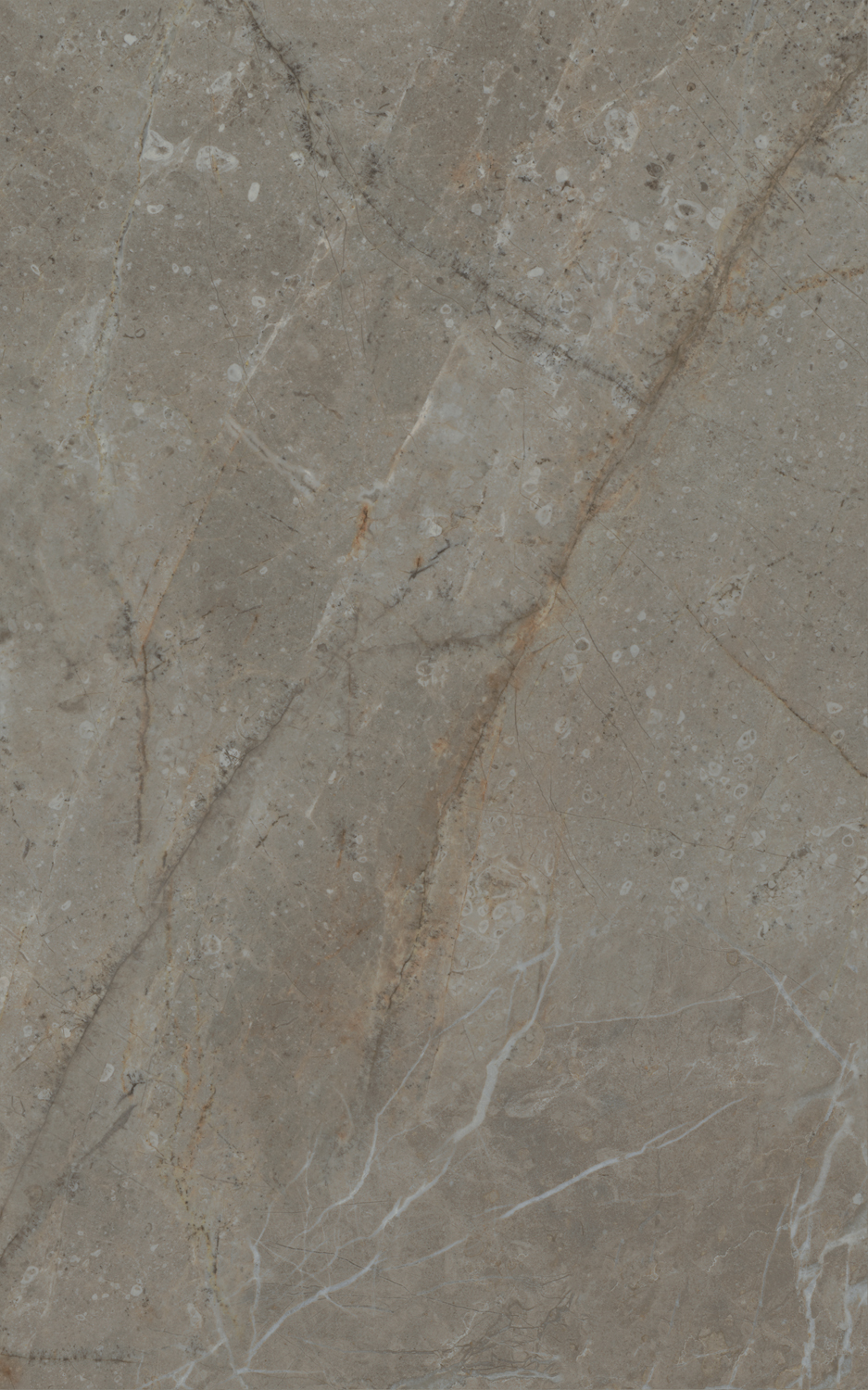 Плитка настенная Kerama Marazzi Кантата серый глянцевый 25х40 см 6431