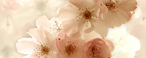 Декор панно Ceradim Manzano B 20х50 см КПН17ManzanoB