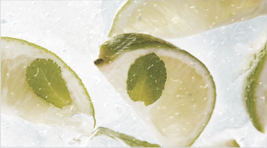 Декор Ceradim Mojito 1 25x45 см х9999019081