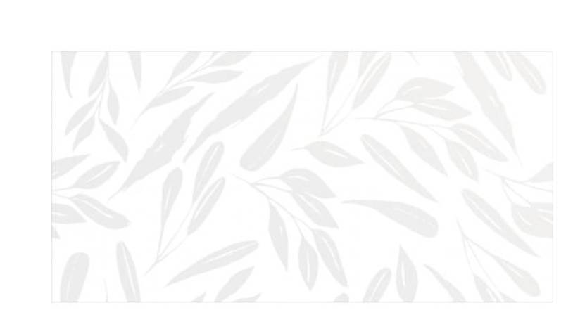 Плитка настенная Cersanit Montblanc White 249x500 мм WT9MNB00