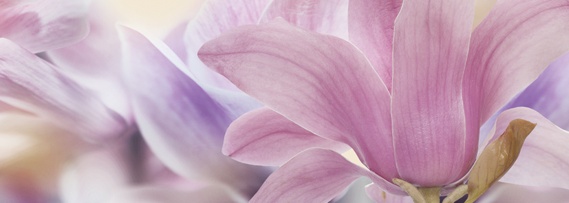 Декор Keros Calido Dance A 25х70 см х9999028460