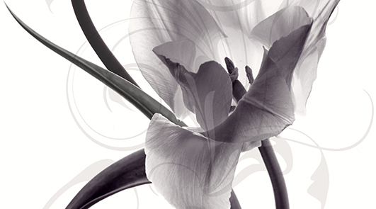 Панно Ceradim Pulsar C 25x45 см КПН16PulsarC