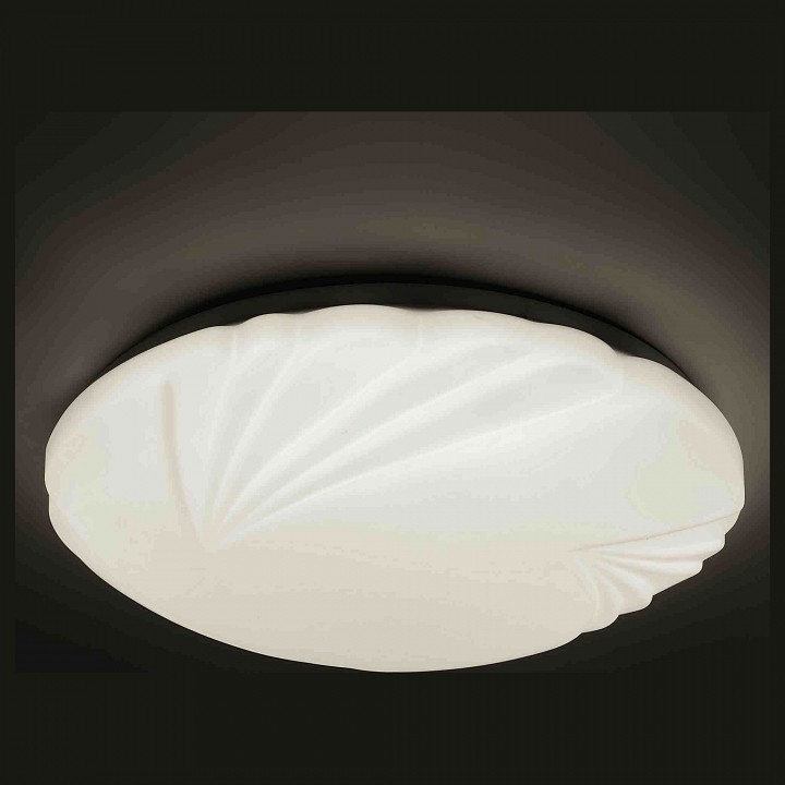 Накладной светильник Apeyron Амелия 18-026