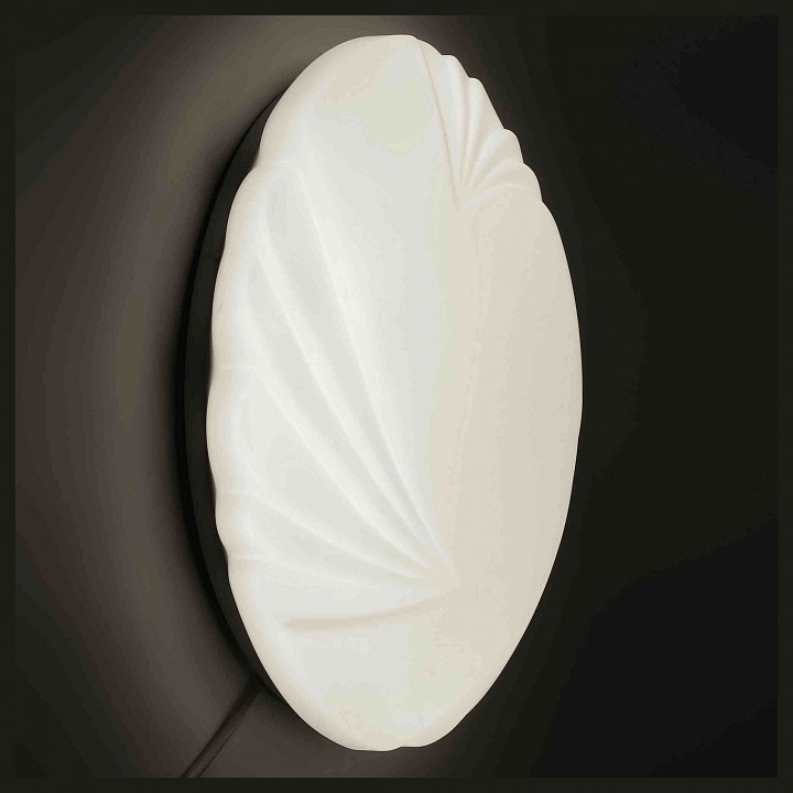 Накладной светильник Apeyron Амелия 18-026