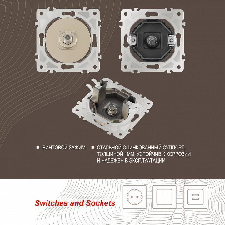 ТВ-розетка без рамки Arte Milano am-202 202.42-1.shampan