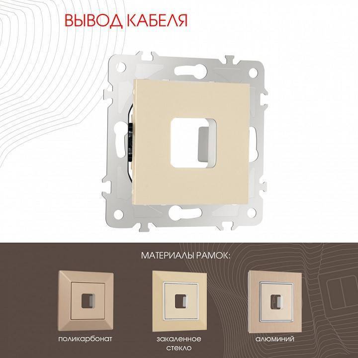 Розетка для вывод кабеля без рамки Arte Milano am-203 203.49-1.shampan