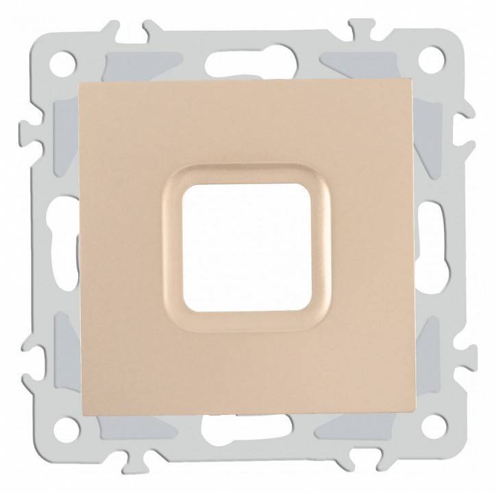 Розетка для вывод кабеля без рамки Arte Milano am-206 206.49-1.shampan