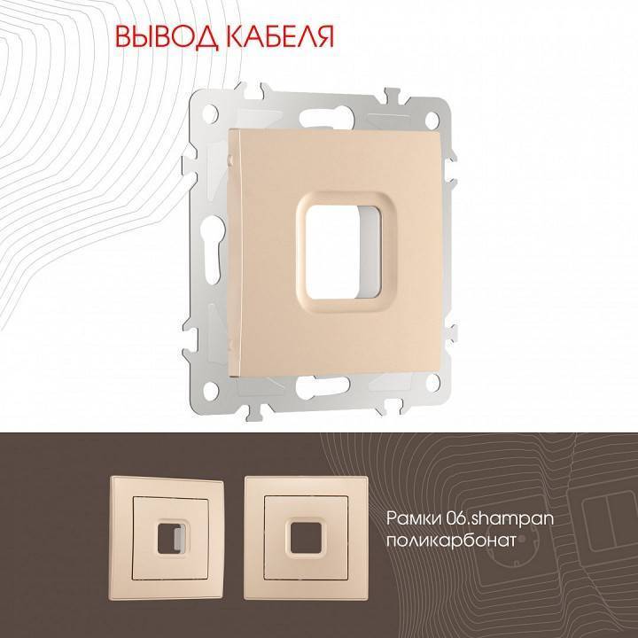 Розетка для вывод кабеля без рамки Arte Milano am-206 206.49-1.shampan