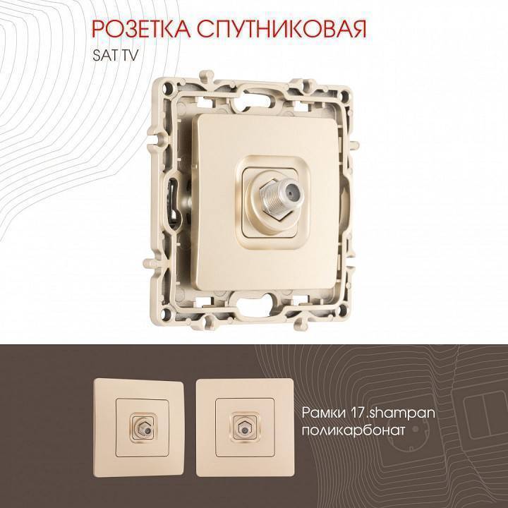 ТВ-розетка без рамки Arte Milano am-217 217.42-1.shampan