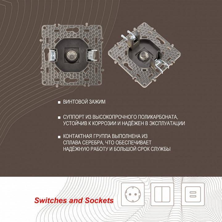 ТВ-розетка без рамки Arte Milano am-217 217.42-1.shampan