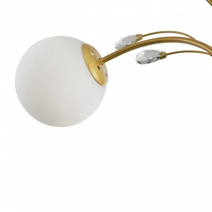 Люстра на штанге Arte Milano Neapolis 273802/6 GD