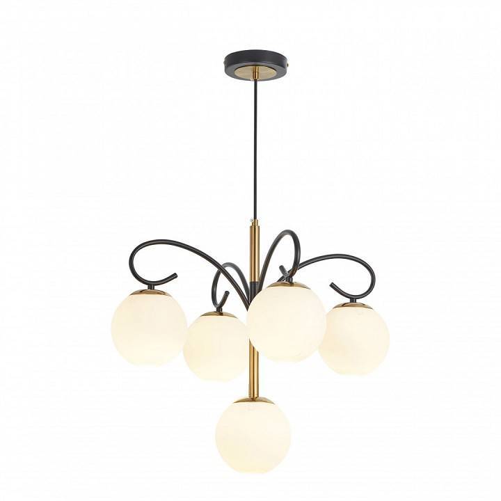 Подвесная люстра Arte Milano Neapolis-73808 5 ламп 273808/4+1 BK/GD