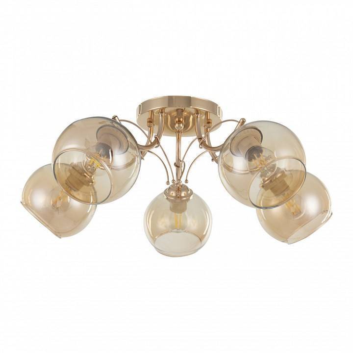 Потолочная люстра Arte Milano Napoli-0566 330566/5 FGD