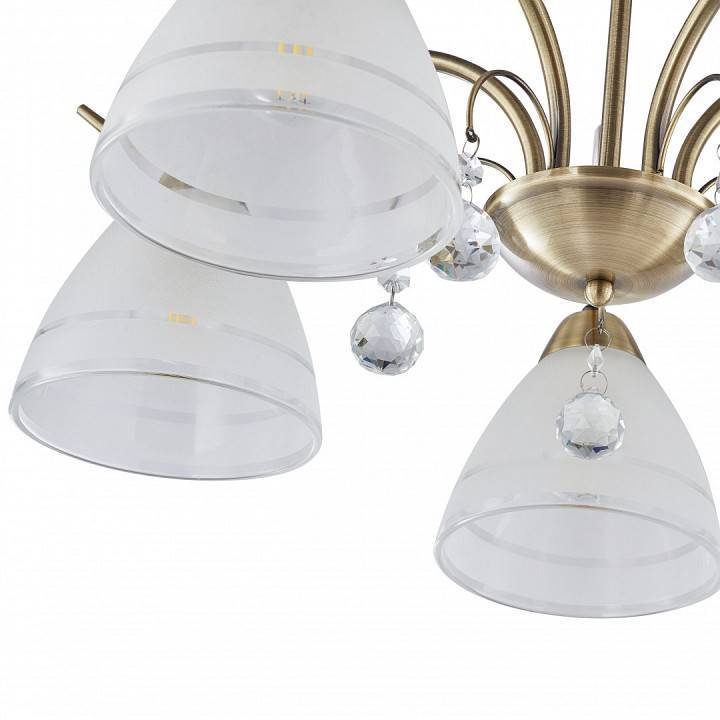 Подвесная люстра Arte Milano Amalfi-8656 5 ламп 334756/5 AB