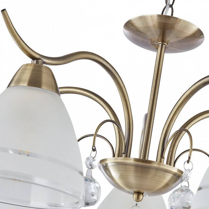 Подвесная люстра Arte Milano Amalfi-8656 5 ламп 334756/5 AB