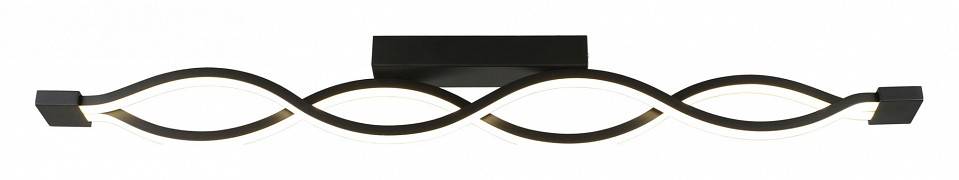 Накладной светильник Aployt Nadayn APL.002.12.36