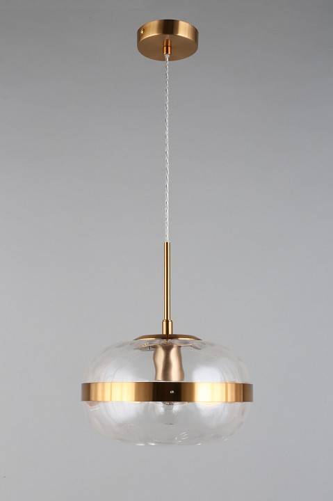 Подвесной светильник Aployt Gabriela APL.305.06.01