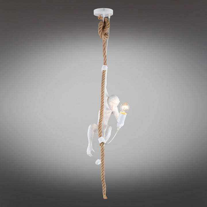 Подвесной светильник Aployt Magali APL.309.06.01