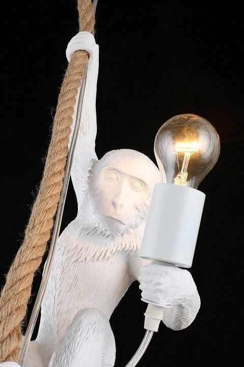 Подвесной светильник Aployt Magali APL.309.06.01