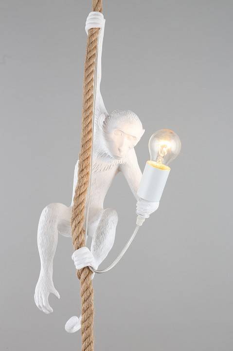 Подвесной светильник Aployt Magali APL.309.06.01