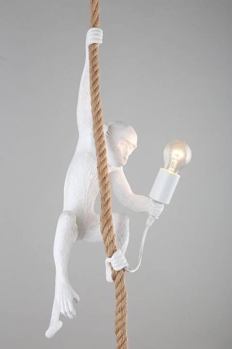 Подвесной светильник Aployt Magali APL.309.06.01