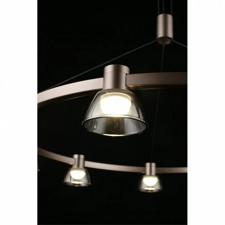 Подвесная люстра Aployt Rezeda APL.788.03.09