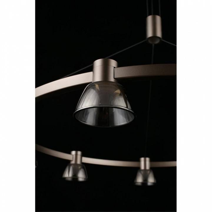 Подвесная люстра Aployt Rezeda APL.788.03.09