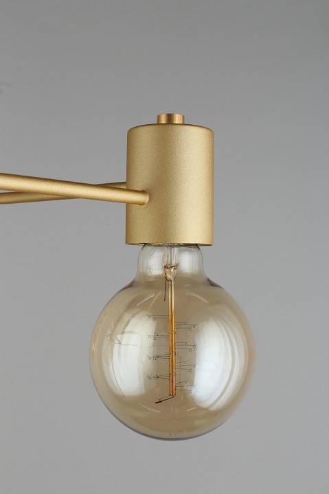 Потолочная люстра Aployt Elison APL.911.07.05