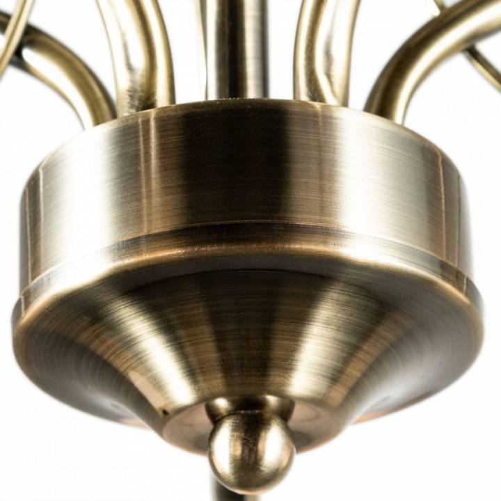 Люстра на штанге Arte Lamp Blossom 5 ламп A2709PL-5AB