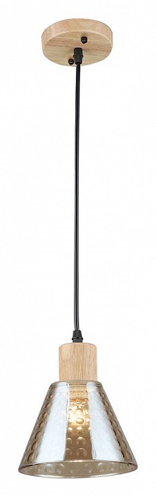 Подвесной светильник Arte Lamp Lancaster A5891SP-1BK