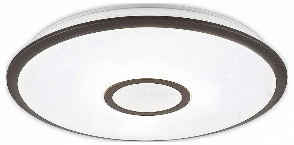 Потолочный светильник Citilux Старлайт Смарт 60 Вт CL703A65G