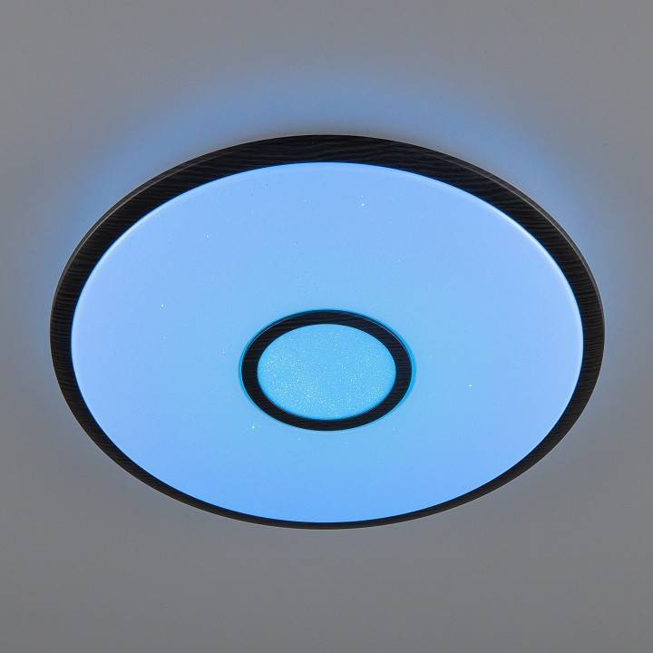 Потолочный светильник Citilux Старлайт Смарт 60 Вт CL703A65G