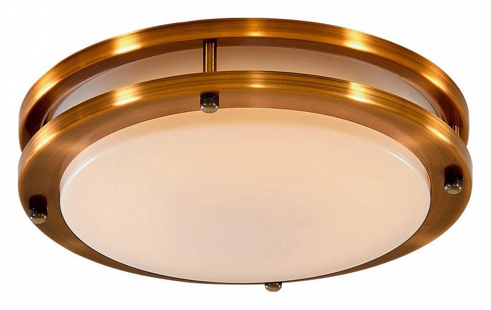 Светильник потолочный Citilux Бостон 20 Вт LED IP44 CL709203N