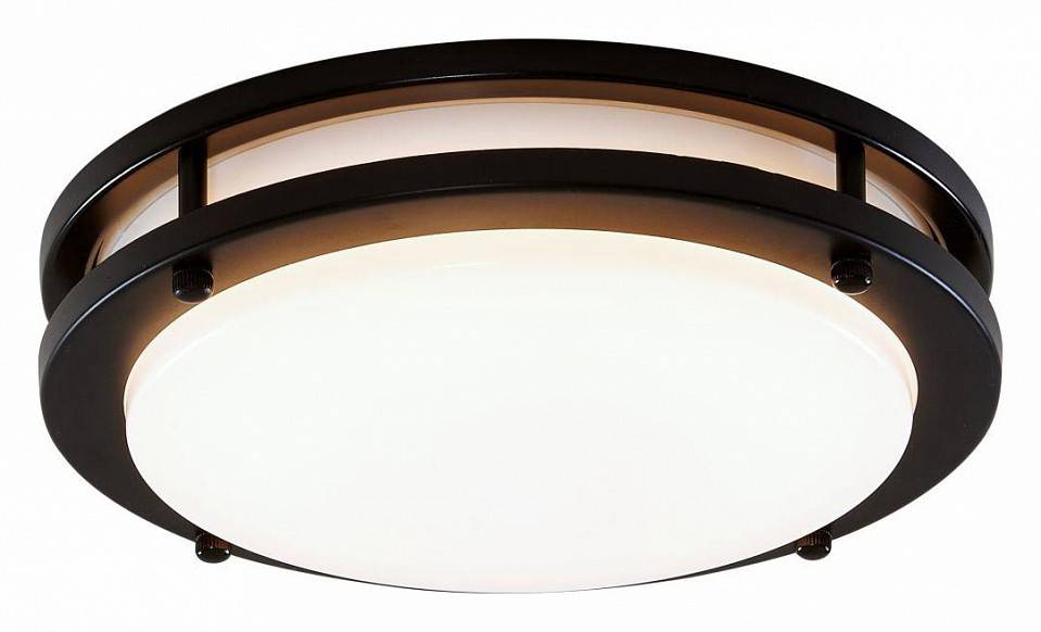 Светильник потолочный Citilux Бостон 20 Вт LED IP44 CL709205N