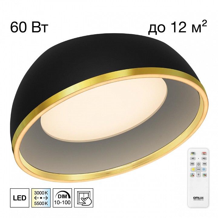 Накладной светильник Citilux FLOOM CL736151