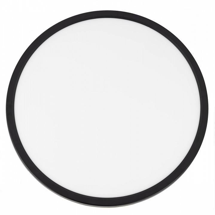 Накладной светильник Citilux Бейсик Лайн CL738321VL