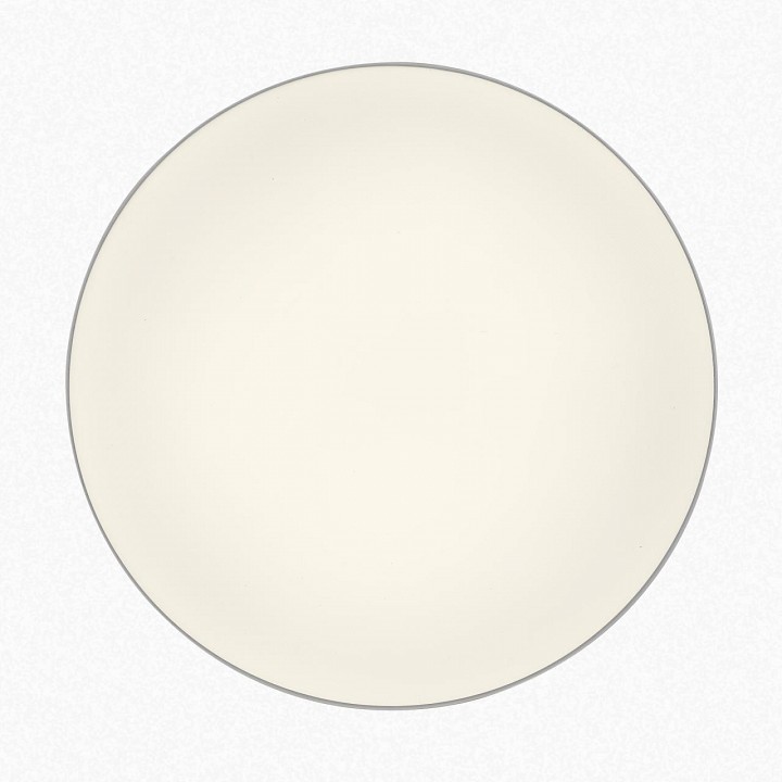 Накладной светильник Citilux BART CL755390