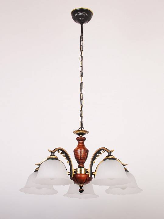 Подвесная люстра Doge Luce 805 5 ламп 805L05BN-395