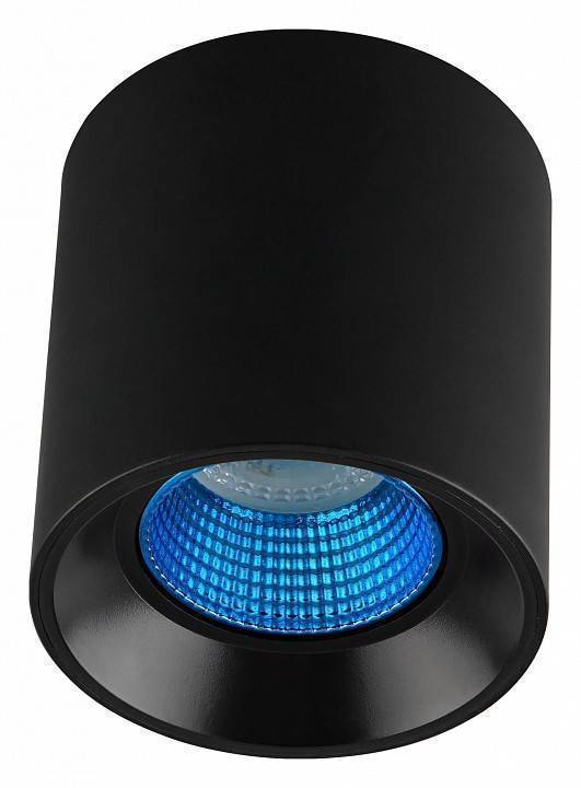 Накладной светильник Denkirs DK3090-BK+CY