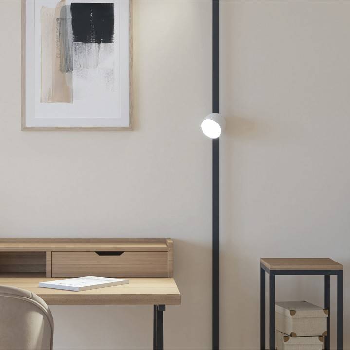 Накладной светильник Denkirs BELTY SPOT DK5542-WH+BK