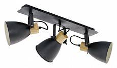 Спот Eglo Coswarth 3хE27 99076