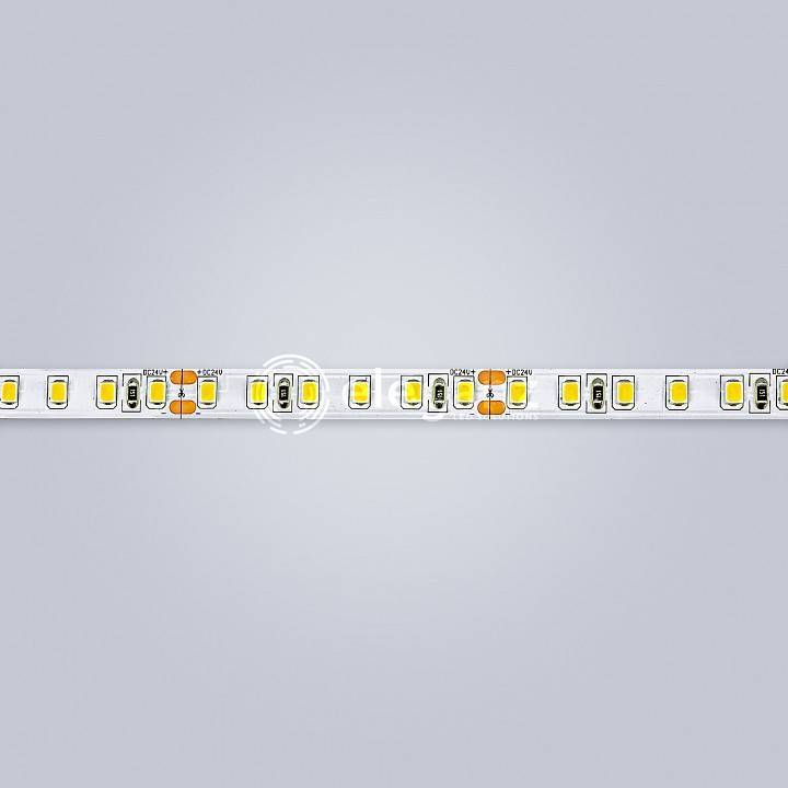Лента светодиодная Eleganz LUX EL-24V-96N