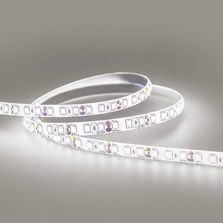 Лента светодиодная Eleganz  EL-SS65-96W