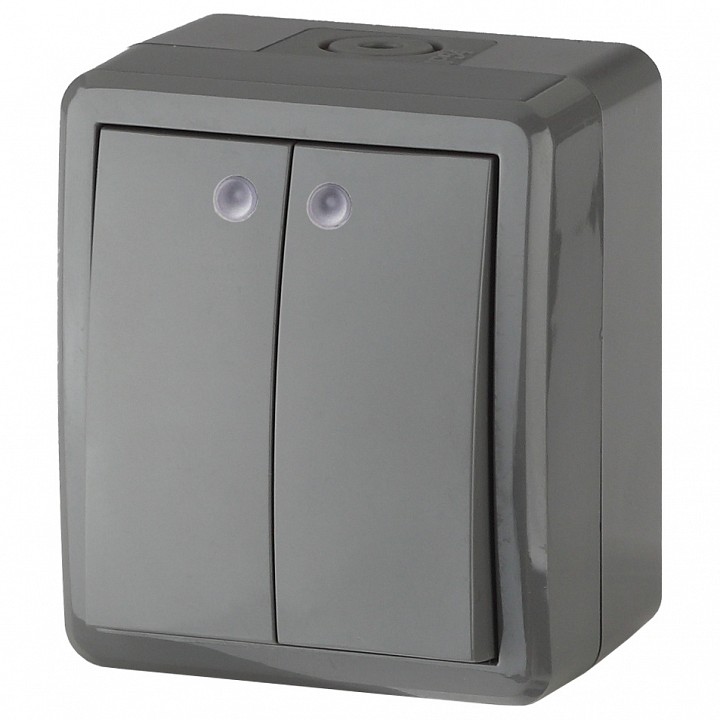 Выключатель двухклавишный с подсветкой Эра Эра Эксперт 11-1405-03