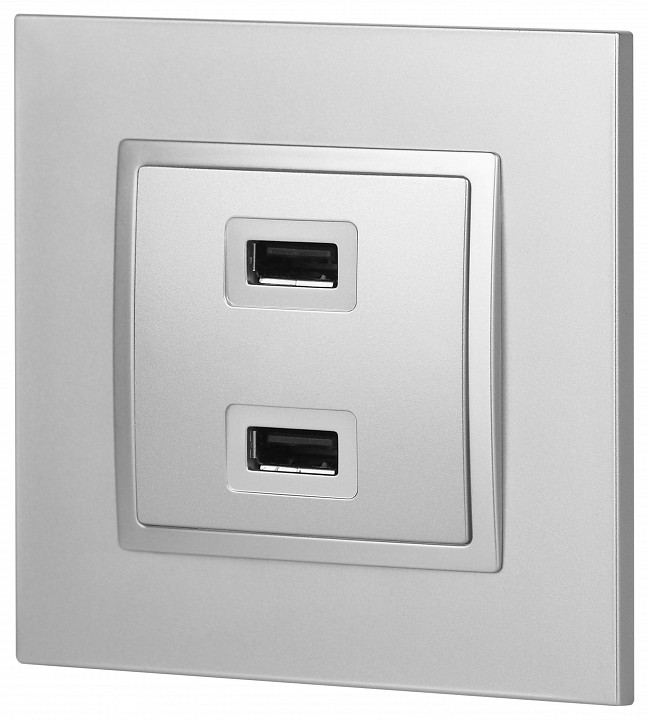 Розетка 2хUSB type A без рамки Эра Эра Elegance 14-4110-03