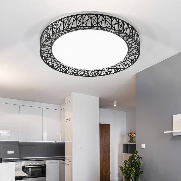 Накладной светильник Эра Классик SPB-6-70-RC Savern В