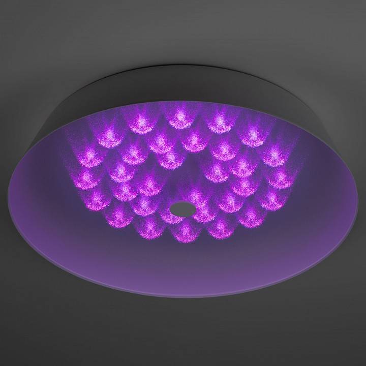 Накладной светильник Эра  SPB-6-60-RC Locus RGB