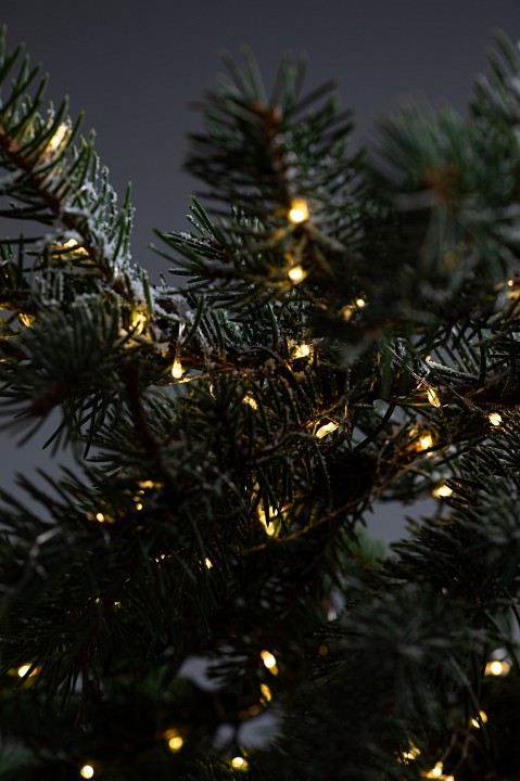 Гирлянда на солнечных батареях Эра  ERASF22-18